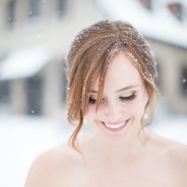 Snow Wedding flakes